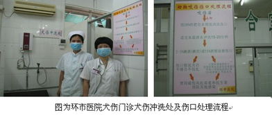 環(huán)市醫(yī)院犬傷門診正式啟用 拓展社區(qū)服務(wù)版圖，筑牢公共衛(wèi)生防線